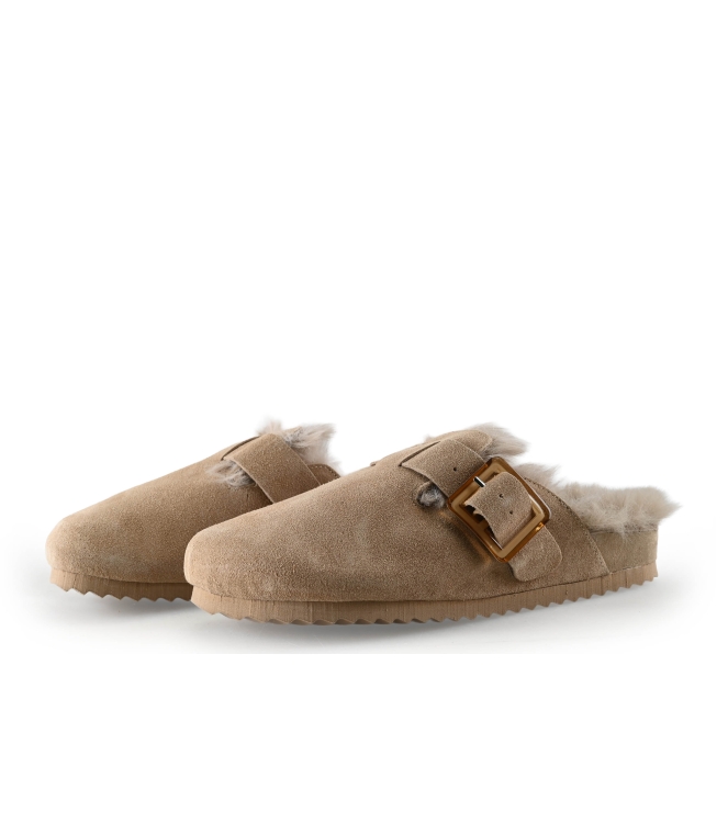 Colors of California Muiltjes