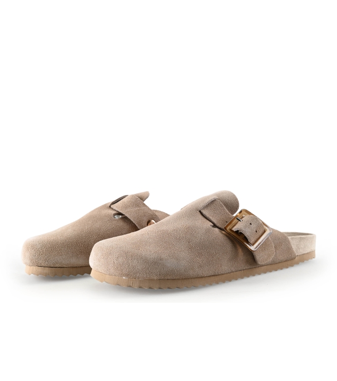 Colors of California Muiltjes