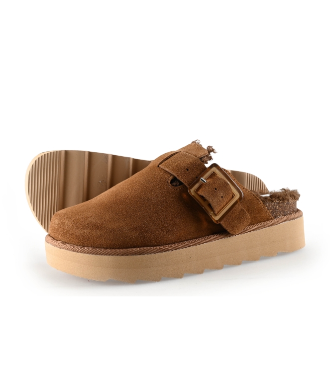 Colors of California Muiltjes