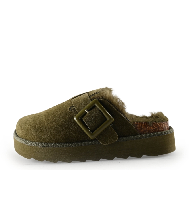 Colors of California Muiltjes