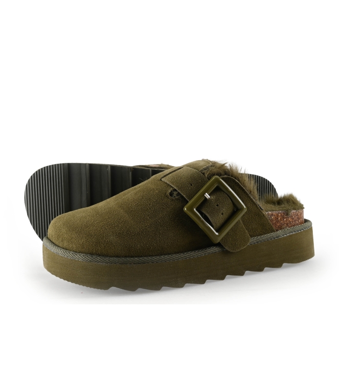 Colors of California Muiltjes