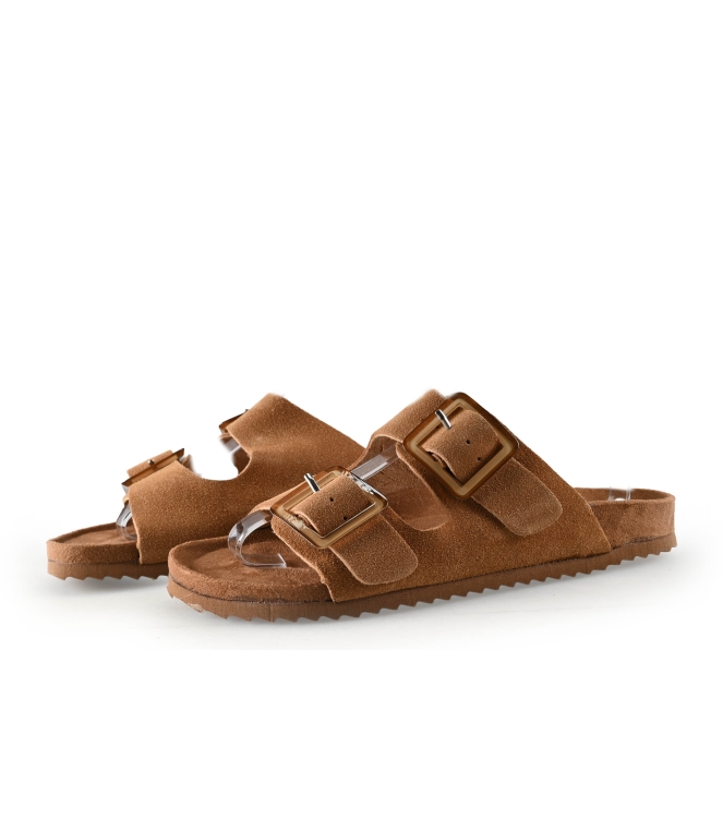 Colors of California Muiltjes