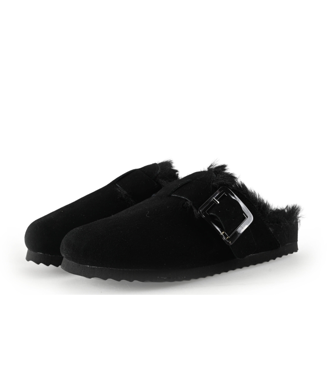 Colors of California Muiltjes