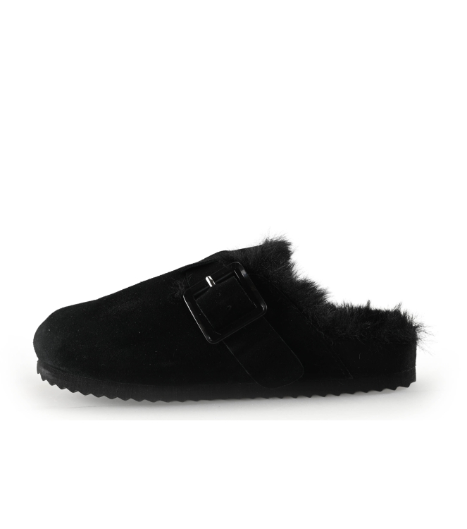 Colors of California Muiltjes