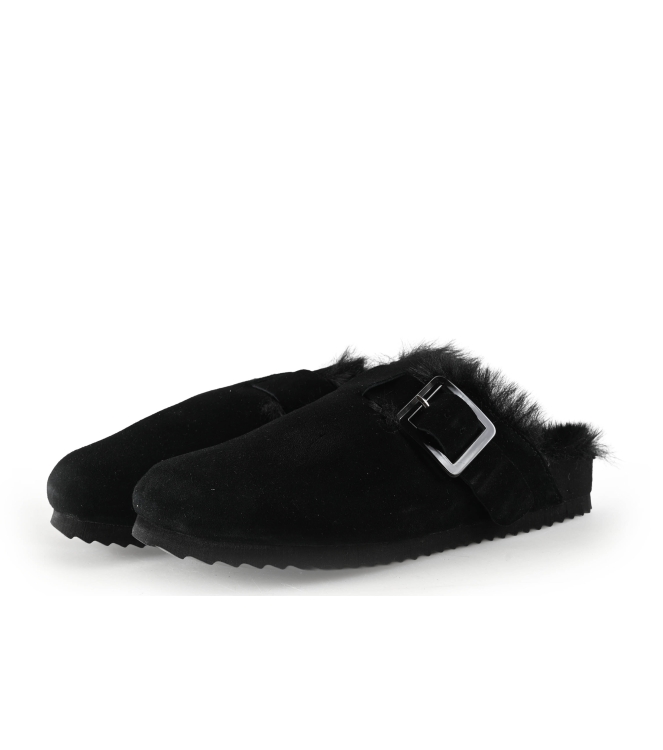 Colors of California Muiltjes