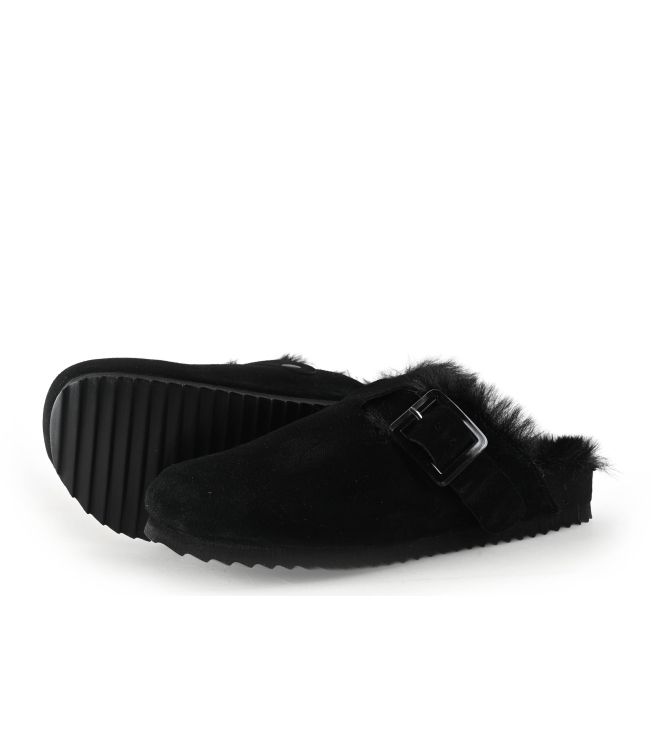 Colors of California Muiltjes