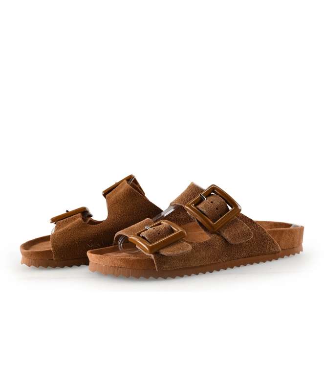 Colors of California Muiltjes