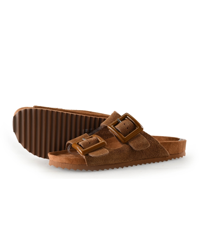 Colors of California Muiltjes