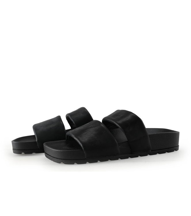 Colors of California Muiltjes