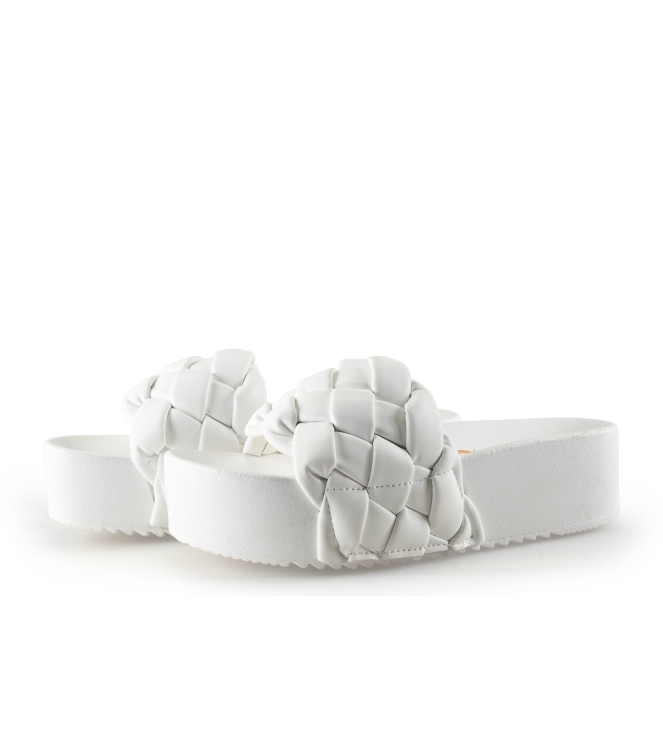 Colors of California Muiltjes