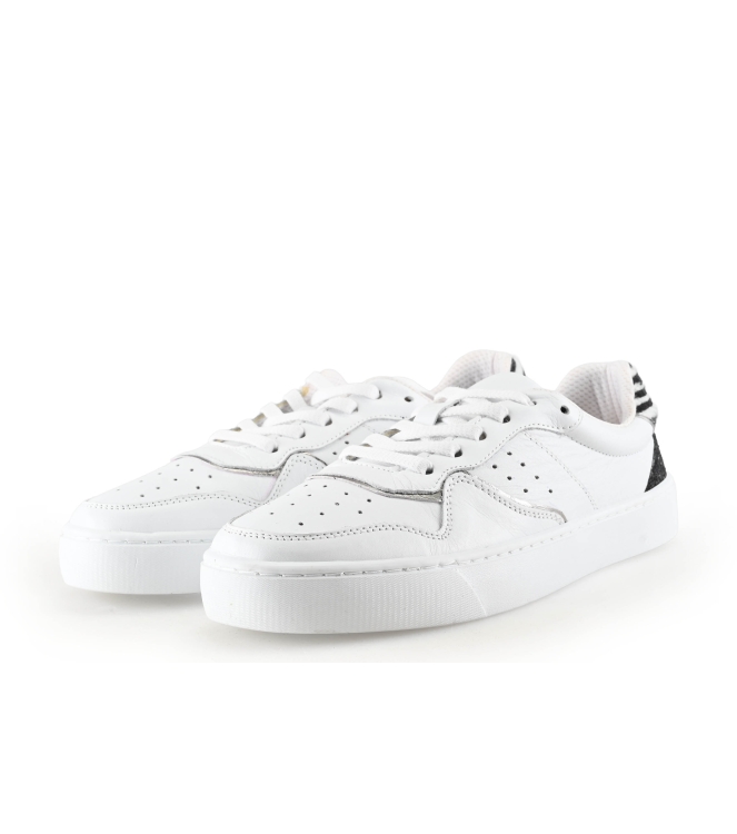 Colors of California Sneakers