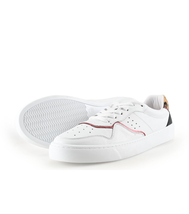 Colors of California Sneakers