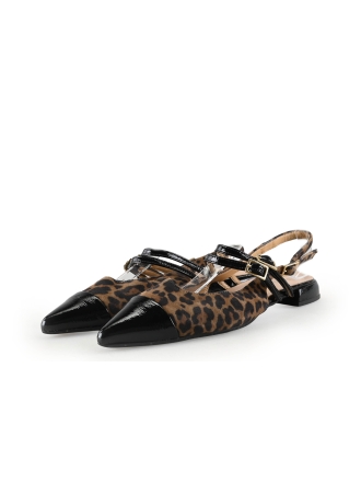 Laurent David Ballerina's Bruin 330884
 Maat 39
 