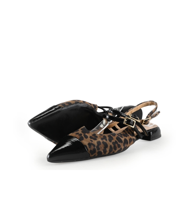 Laurent David Ballerina's