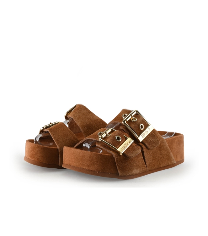 Colors of California Muiltjes