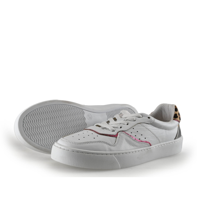 Colors of California Sneakers