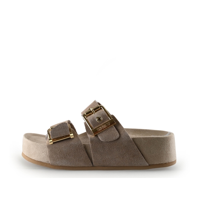 Colors of California Muiltjes