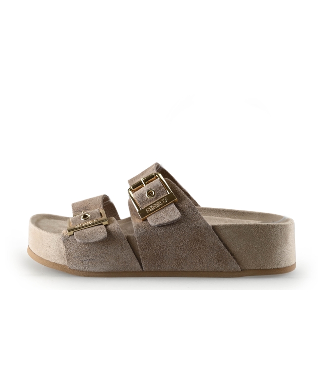 Colors of California Muiltjes