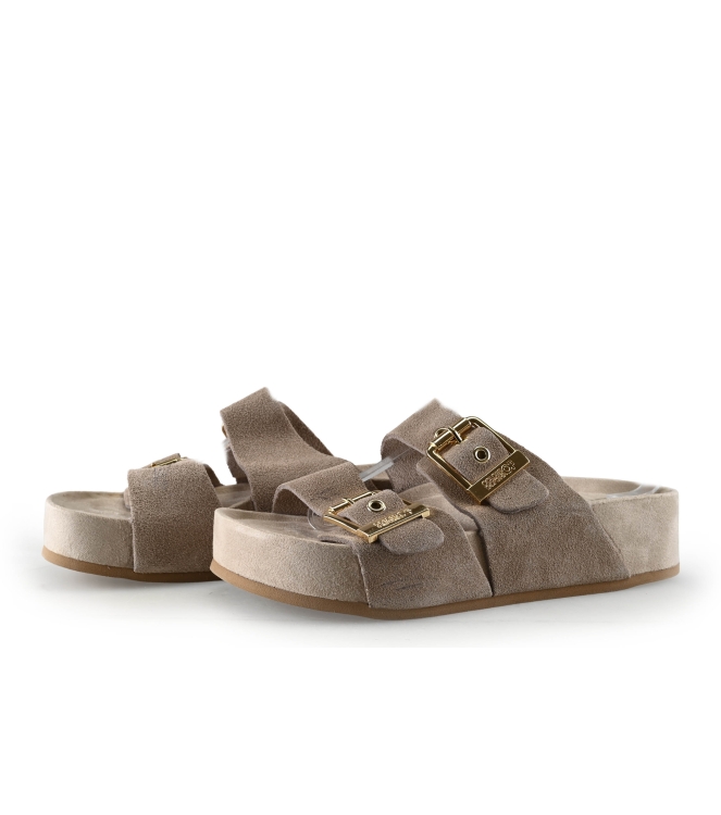 Colors of California Muiltjes