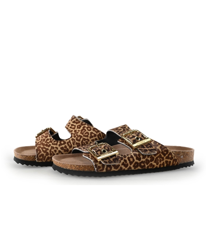 Colors of California Muiltjes