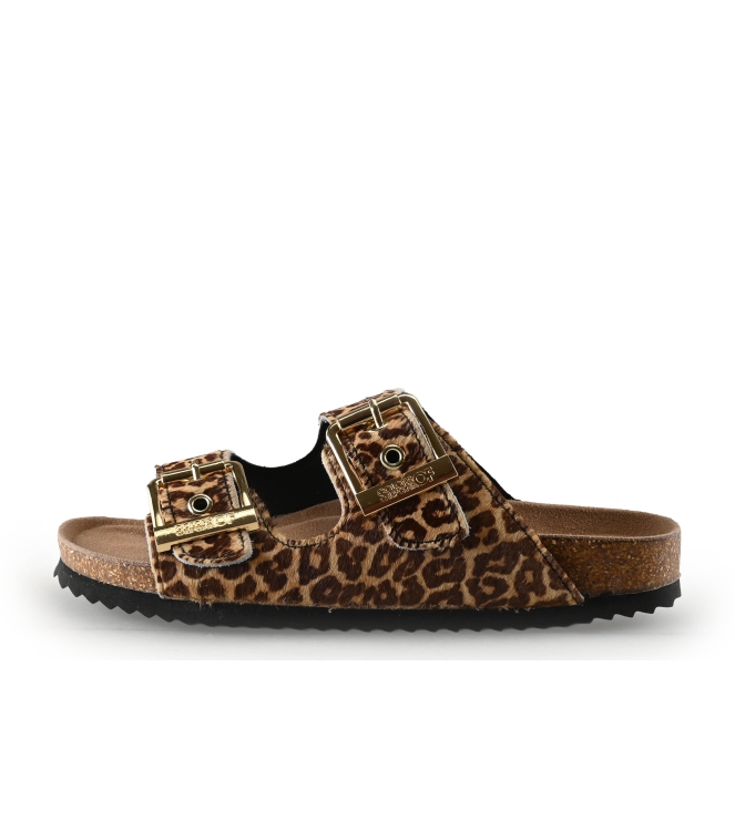 Colors of California Muiltjes