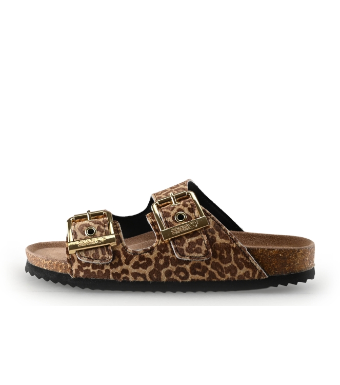 Colors of California Muiltjes