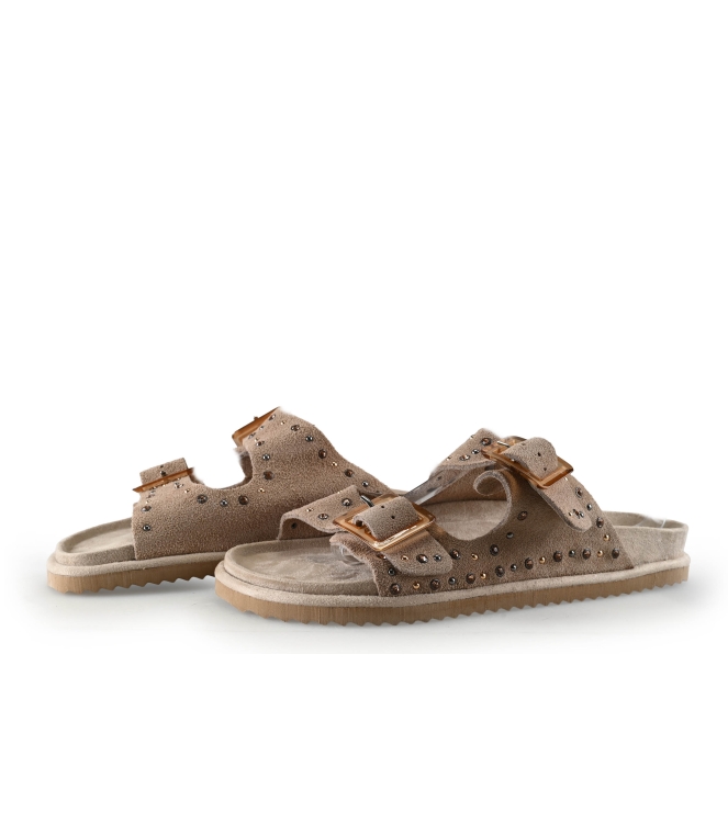 Colors of California Muiltjes