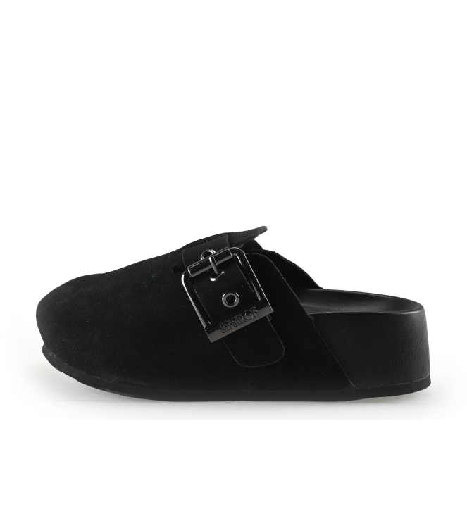 Colors of California Muiltjes