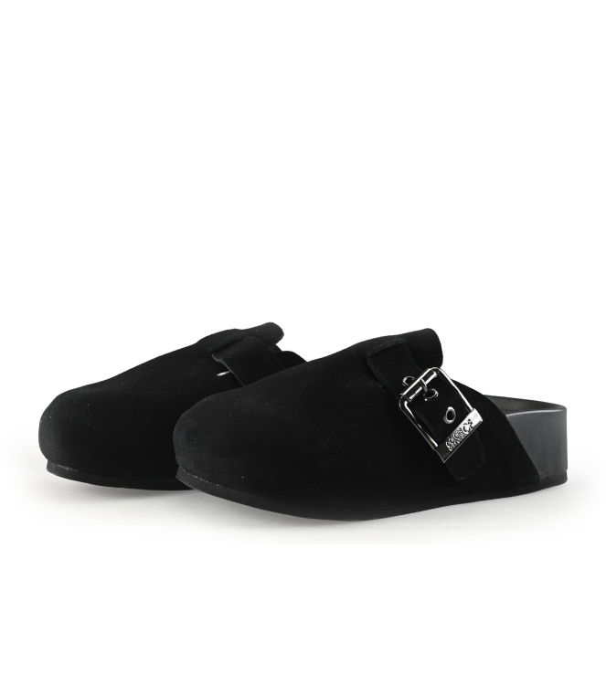 Colors of California Muiltjes