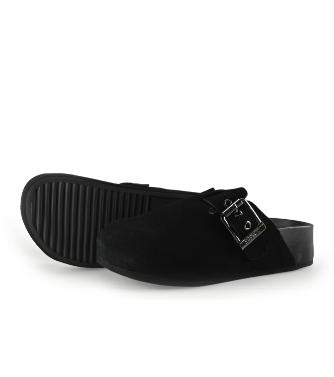 Colors of California Muiltjes