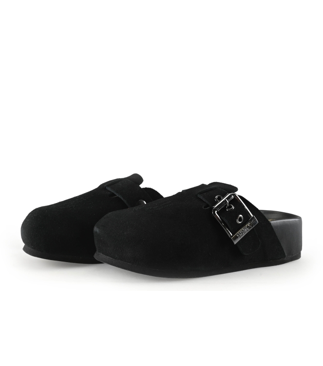 Colors of California Muiltjes