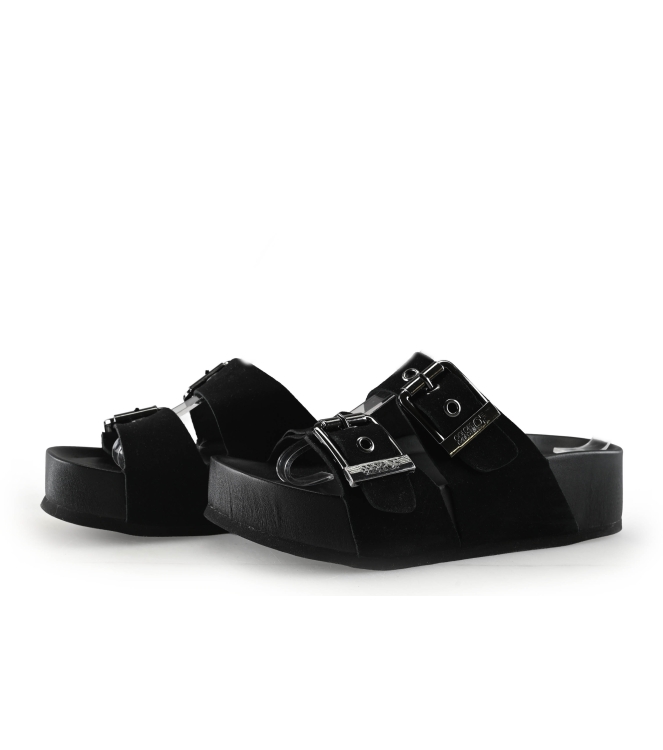 Colors of California Muiltjes