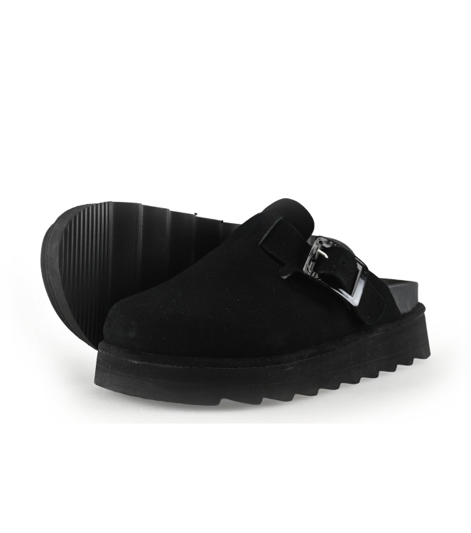 Colors of California Muiltjes