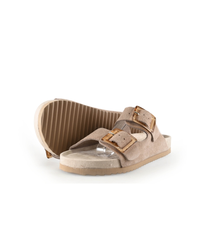 Colors of California Muiltjes