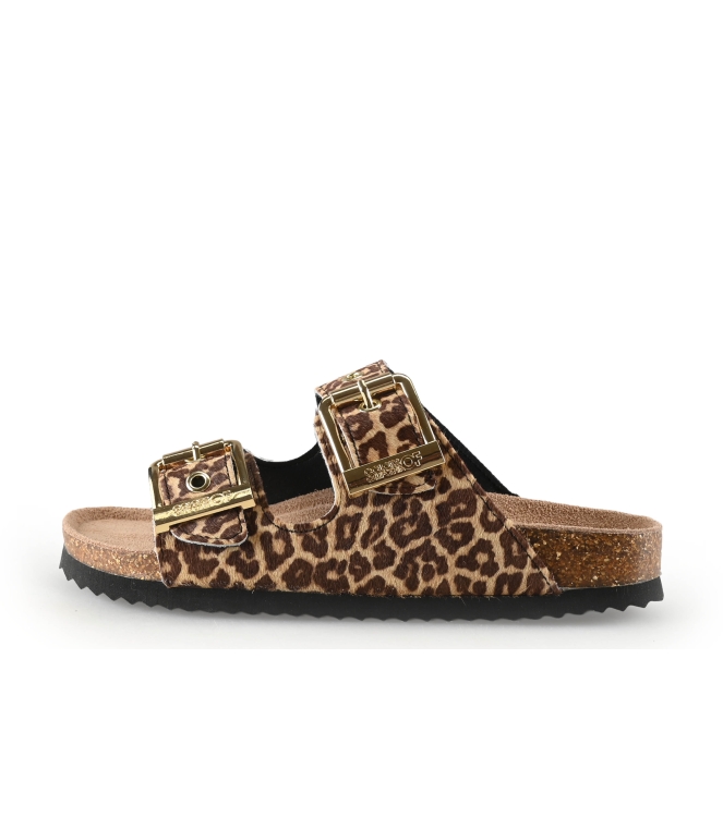 Colors of California Muiltjes