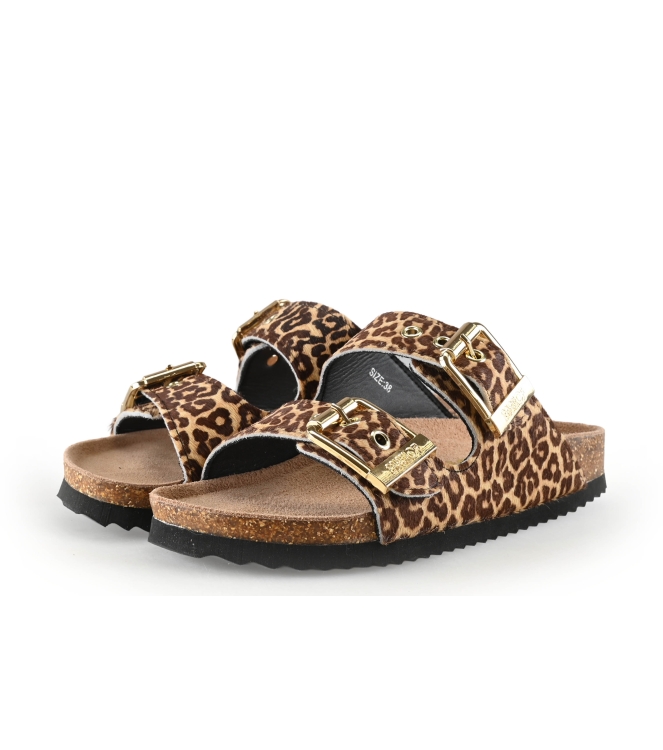 Colors of California Muiltjes