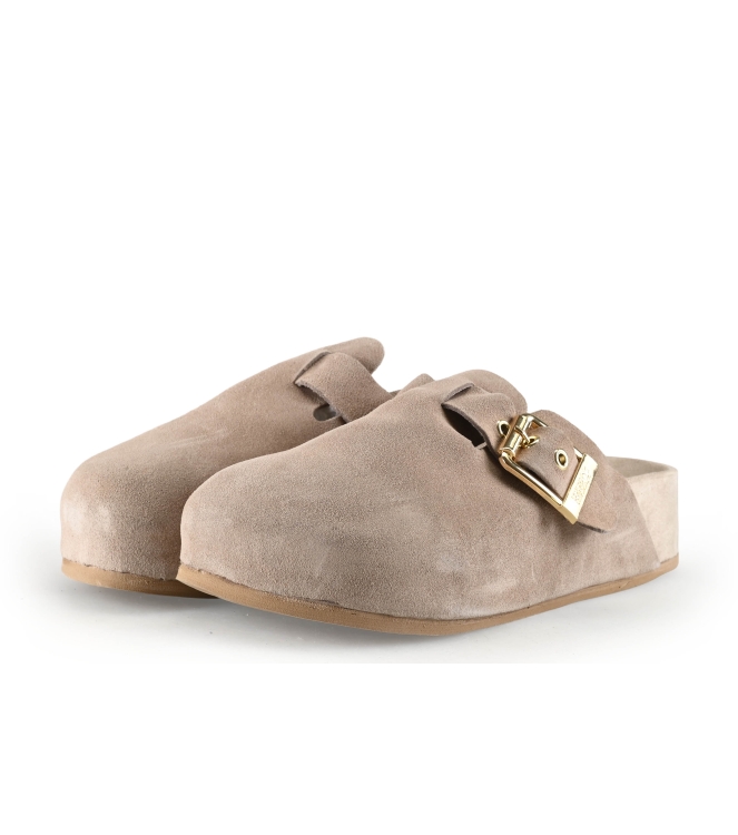 Colors of California Muiltjes