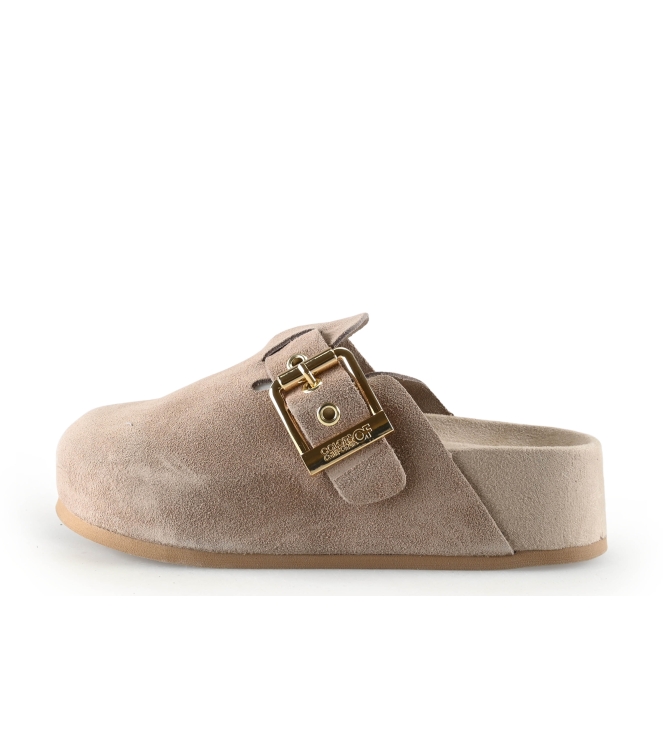 Colors of California Muiltjes