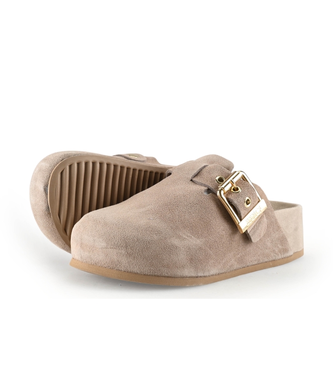 Colors of California Muiltjes