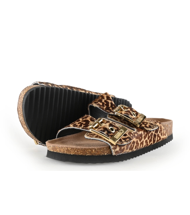 Colors of California Muiltjes