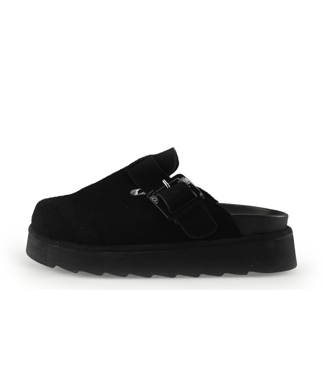 Colors of California Muiltjes