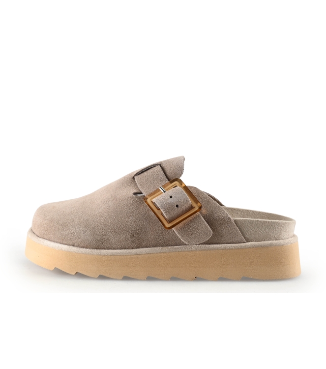 Colors of California Muiltjes