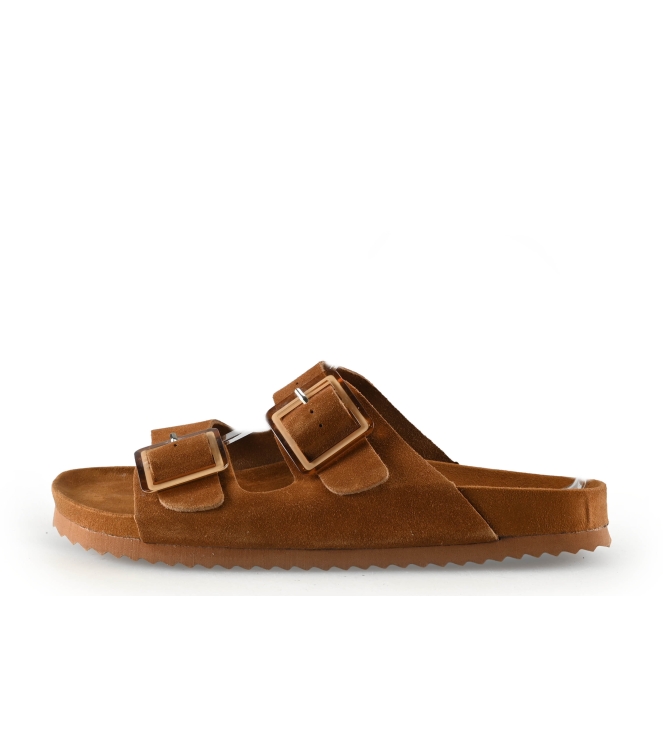 Colors of California Muiltjes