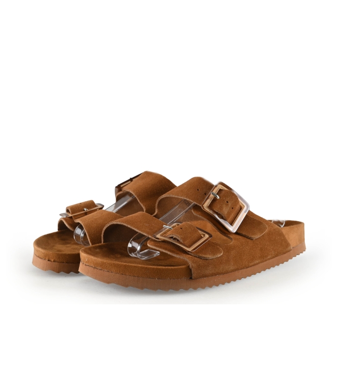 Colors of California Muiltjes