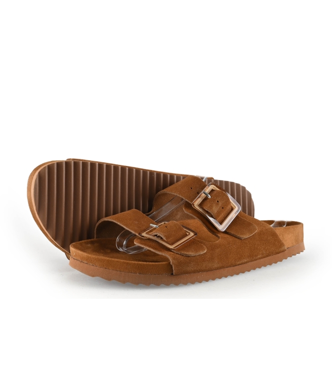 Colors of California Muiltjes