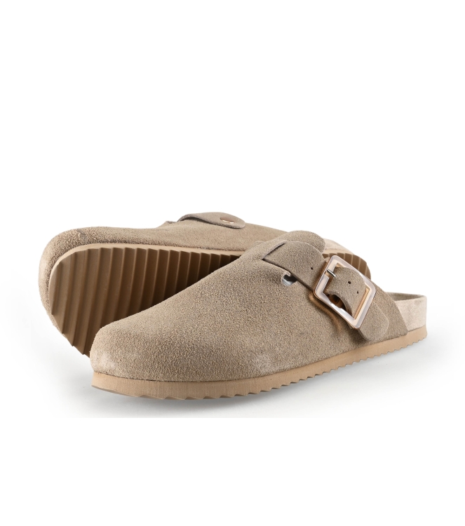 Colors of California Muiltjes