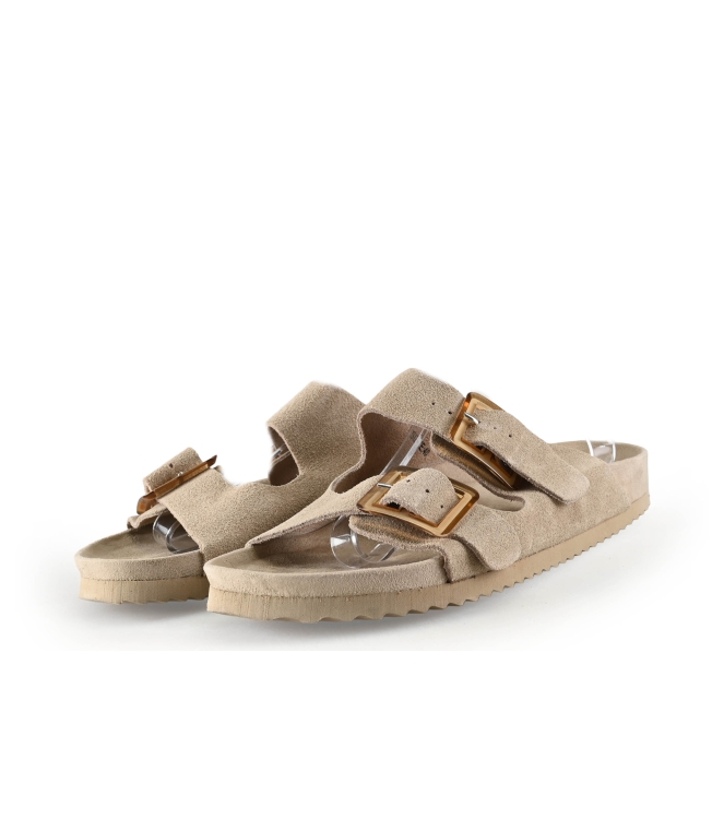 Colors of California Muiltjes