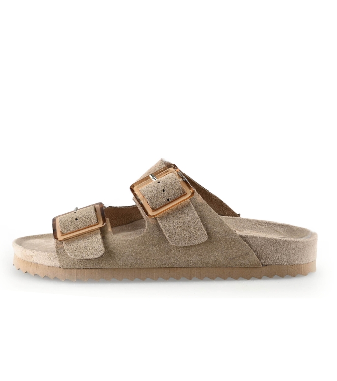 Colors of California Muiltjes