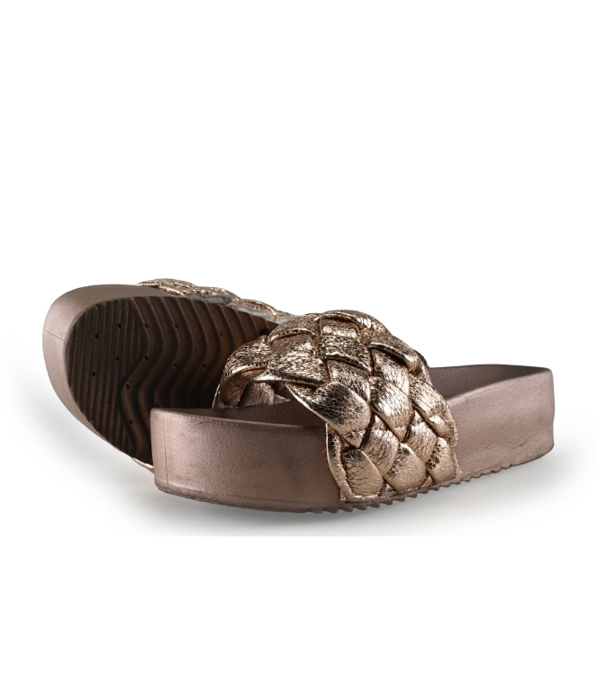 Colors of California Muiltjes