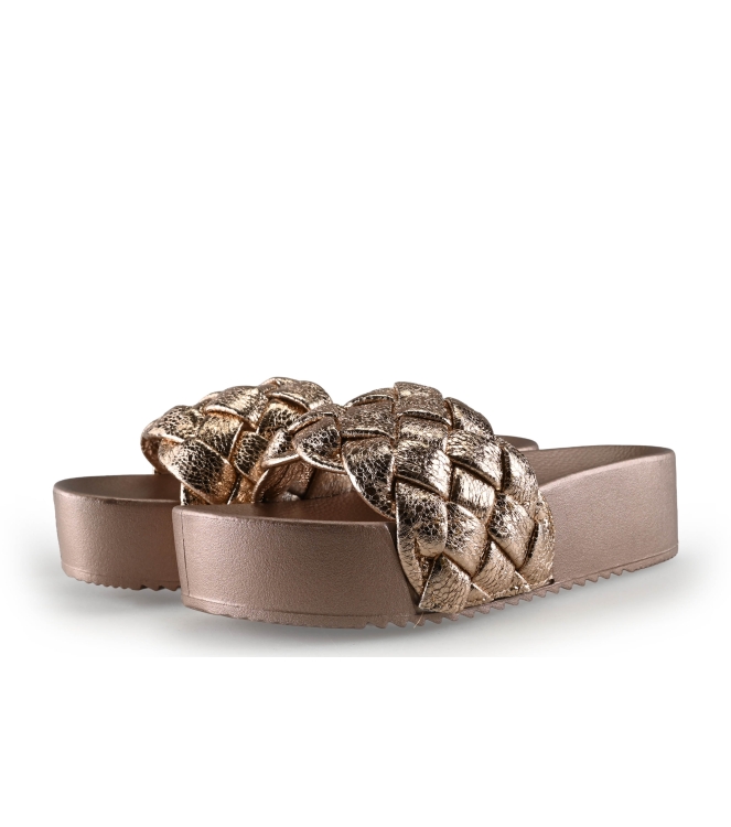 Colors of California Muiltjes